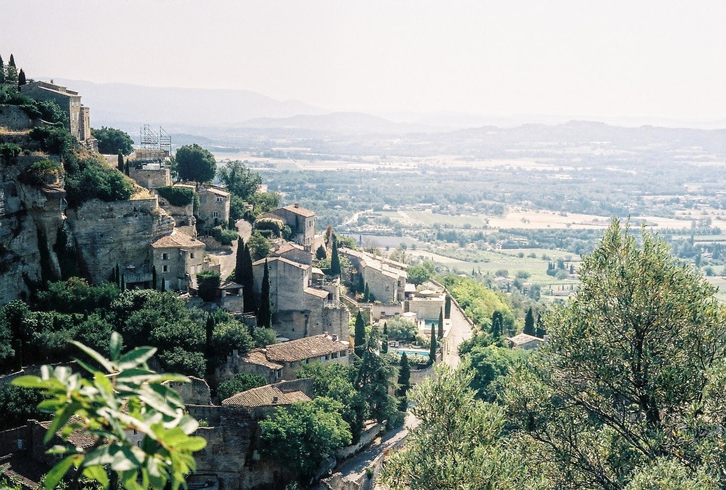 Lavande